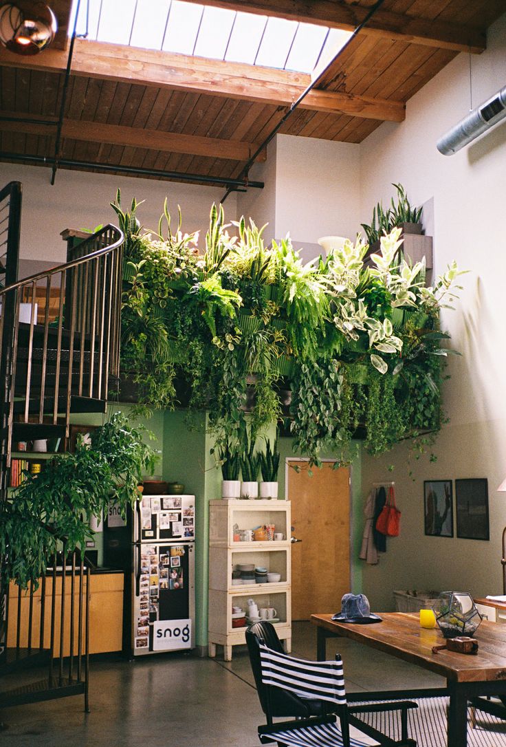 Si te gusta la naturaleza pero estás atrapado en una ciudad… te damos estos tips para decorar tu casa!