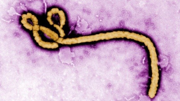 ebola 1