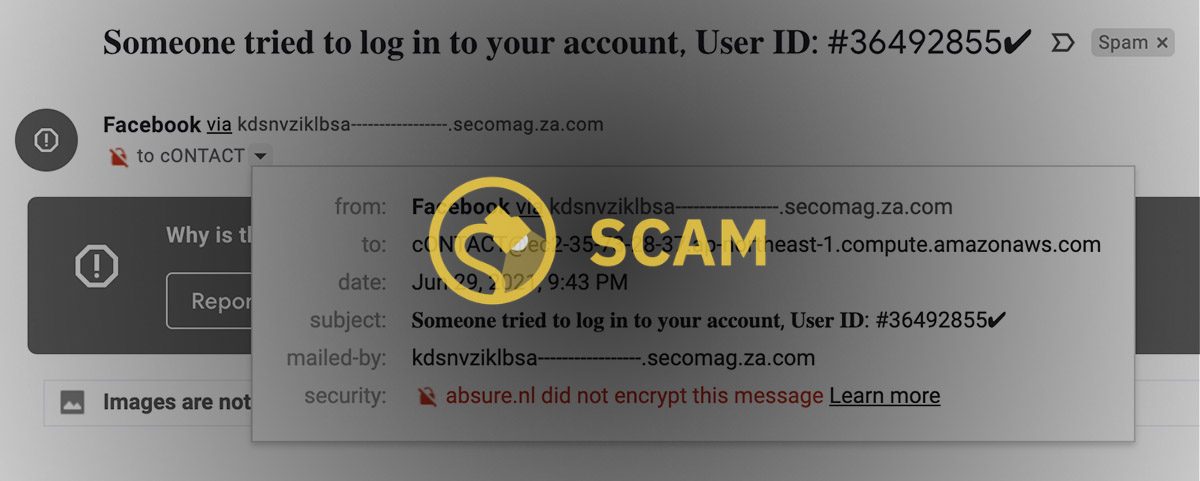 La persona que intentó iniciar sesión en su cuenta estafa por correo electrónico de Facebook.