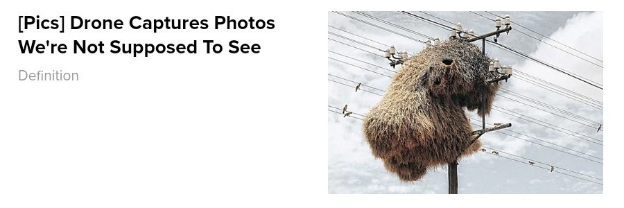 Un anuncio que mostraba un enorme nido de pájaros tejedores en un poste de teléfono o líneas eléctricas afirmaba mostrar una fotografía de un dron que captura una foto que se supone que no debemos ver.