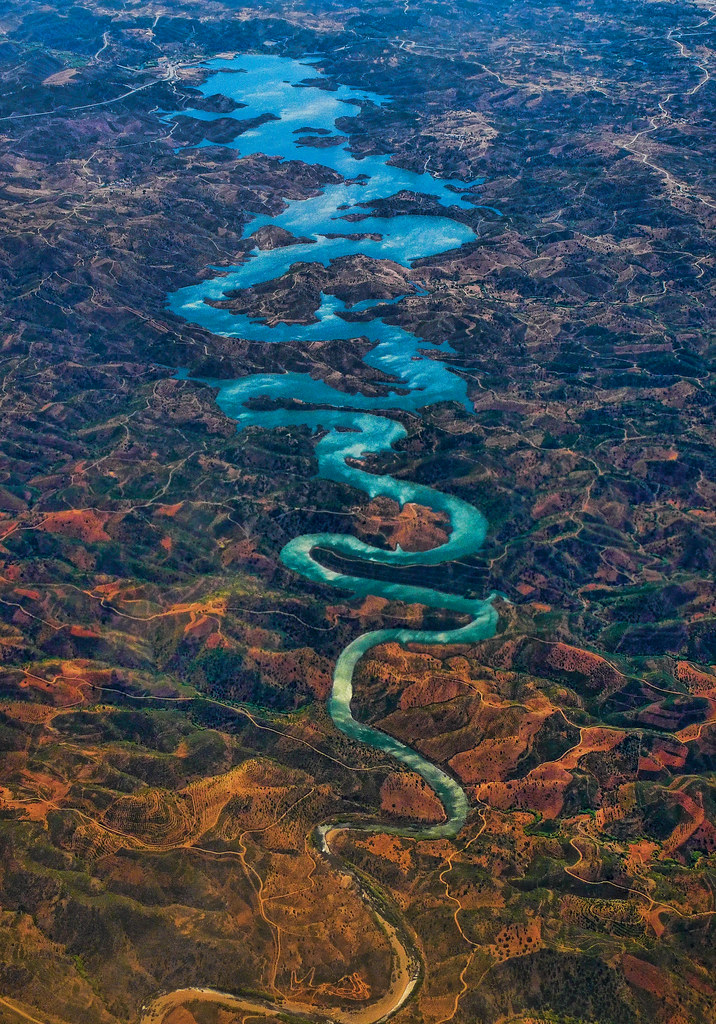 El dragón azul