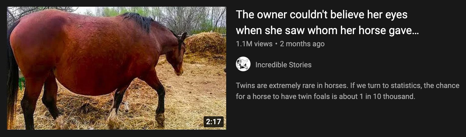 Un anuncio en línea afirmaba que un caballo se niega a dar a luz y cuando el veterinario ve el ultrasonido llama a la policía y un video de YouTube también dice que la dueña no podía creer lo que veía cuando vio a quién dio a luz su caballo.