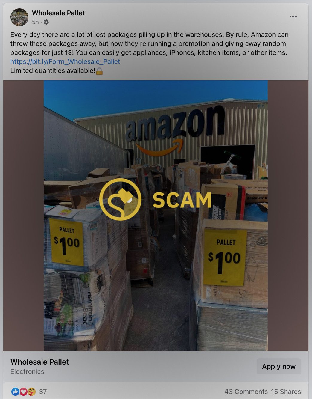 Amazon no estaba regalando paletas de paquetes perdidos por $ 1 en Facebook.