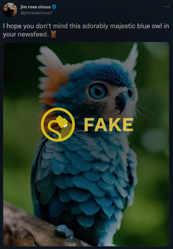 Una imagen de un búho azul no era real porque los búhos azules no son reales.