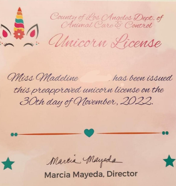 Licencia de unicornio del condado de Los Ángeles