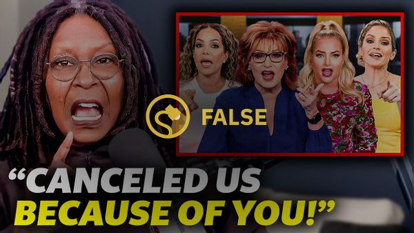 Whoopi Goldberg no provocó la cancelación de The View, ni sus coanfitriones la avergonzaron por supuestamente destruir el programa.