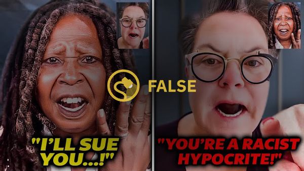 Un popular video de YouTube afirmó que Whoopi Goldberg había entrado en pánico después de que Rosie O'Donnell la destruyera públicamente.