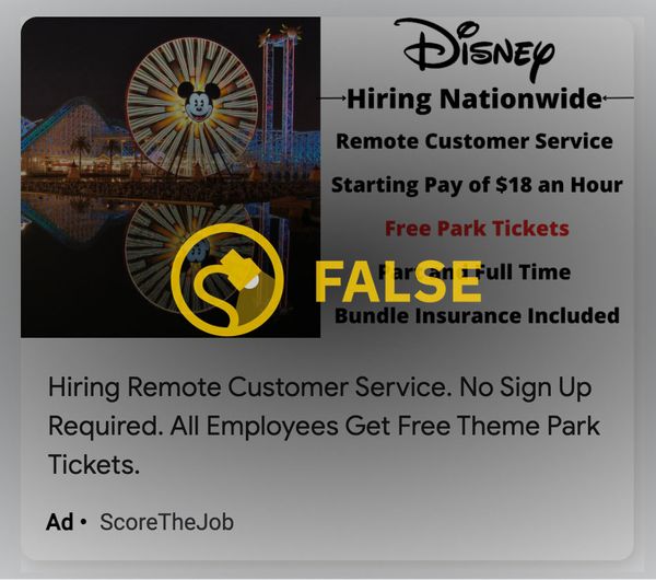 Los anuncios en línea afirmaban que Disney estaba contratando urgentemente y en todo el país para varios puestos de ingreso de datos remoto y servicio al cliente, incluidos algunos que vendrían con entradas gratuitas a los parques temáticos de Disneyland o Disney World.