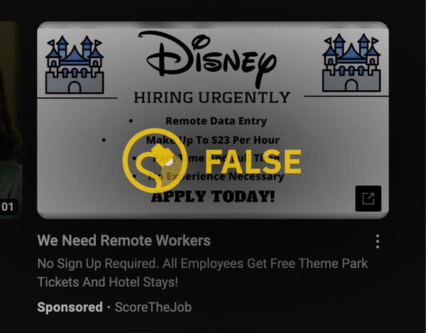 Los anuncios en línea afirmaban que Disney estaba contratando urgentemente y en todo el país para varios puestos de ingreso de datos remoto y servicio al cliente, incluidos algunos que vendrían con entradas gratuitas a los parques temáticos de Disneyland o Disney World.